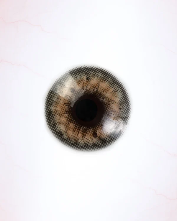 DAHLIA BROWN (1-YEAR)