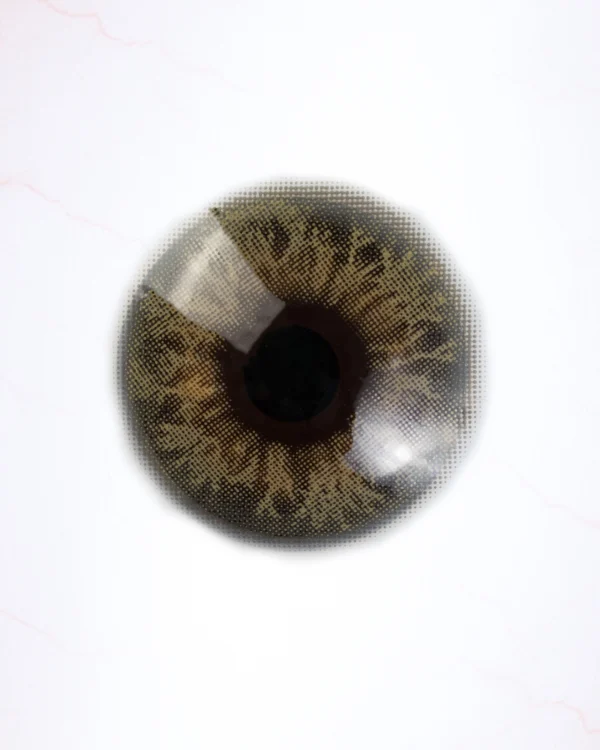 KAMILIA COCO (1-YEAR)