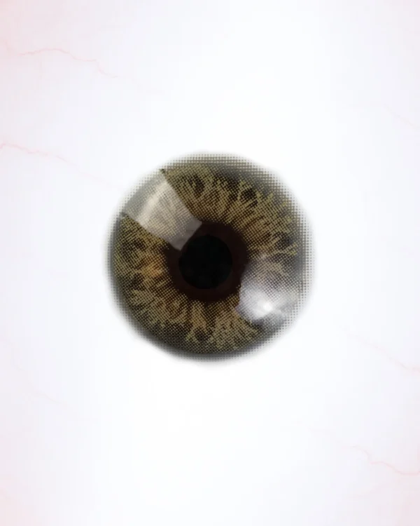 KAMILIA COCO (1-YEAR)