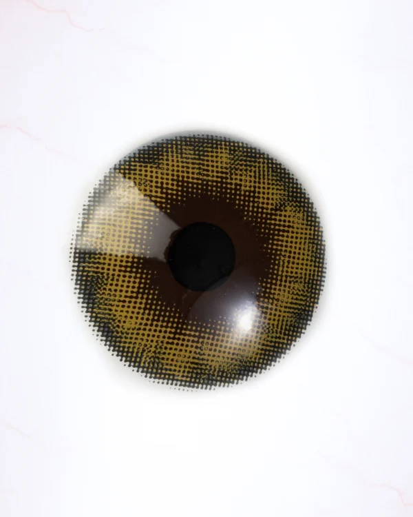 KENZIE KHAKI (1-YEAR)