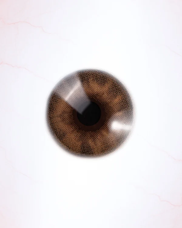 MAIRA HAZEL (1-YEAR)